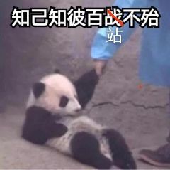 申论万能模板和学霸真题,申论万能模板背起来稳高分