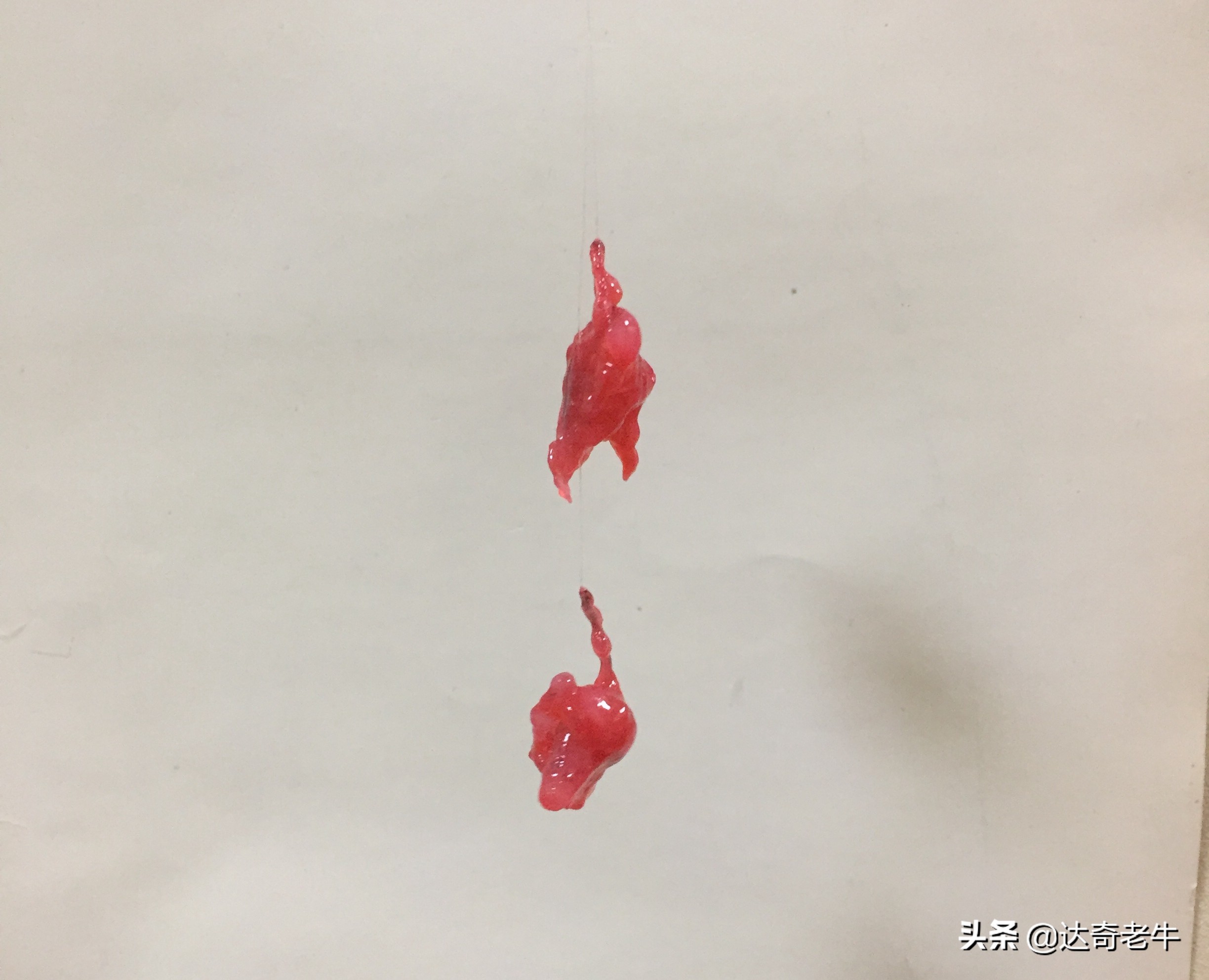 虾滑拉饵开饵方法,虾拉饵钓鱼效果怎么样