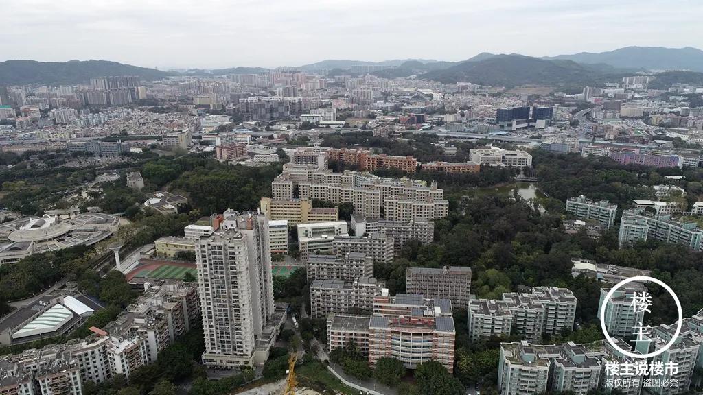 五山：书香之地一片乐土