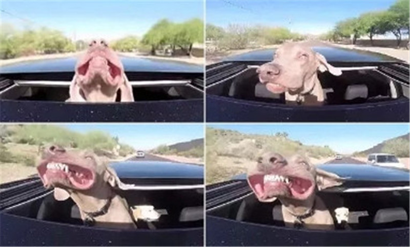 汽车风噪一般产生在哪里,气动噪音是什么