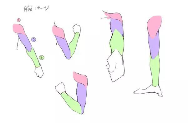 手臂怎么画简单好看,手臂如何画结构