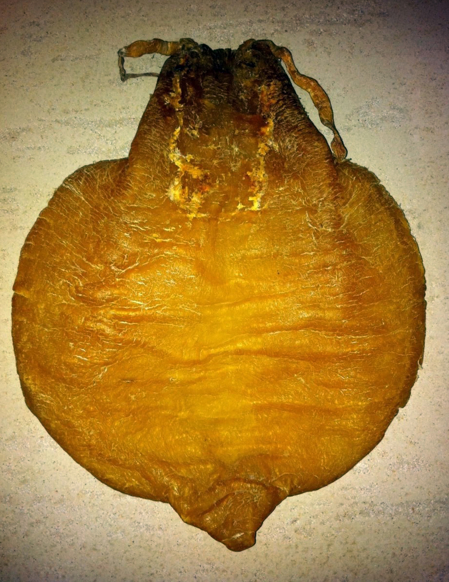 怎样挑选花胶最好,即食花胶是哪种花胶最好