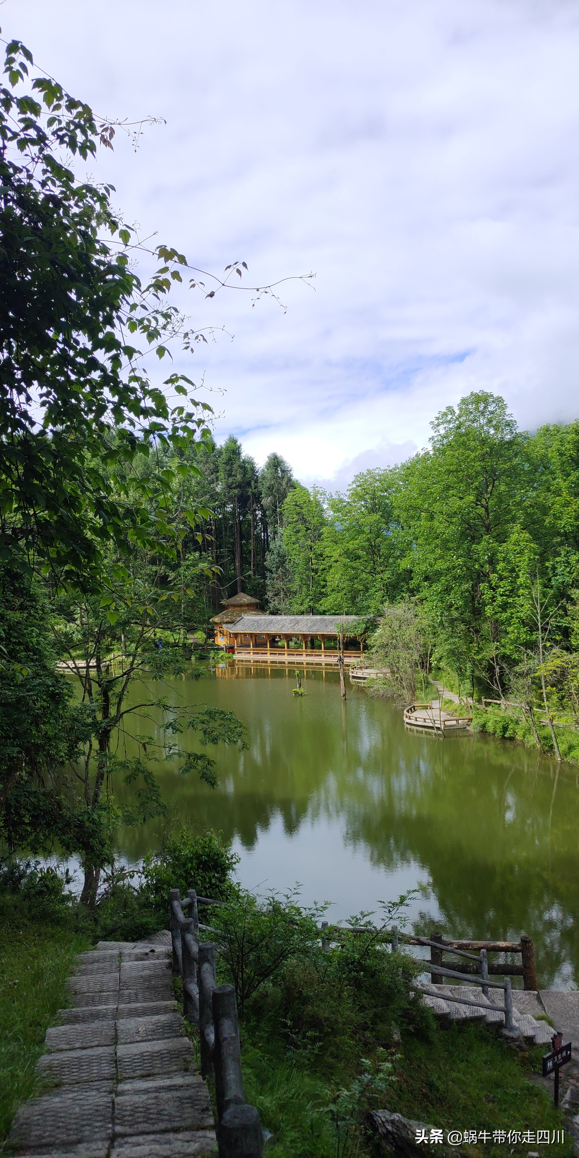 带小朋友出去看小动物,带小孩去海洋动物园
