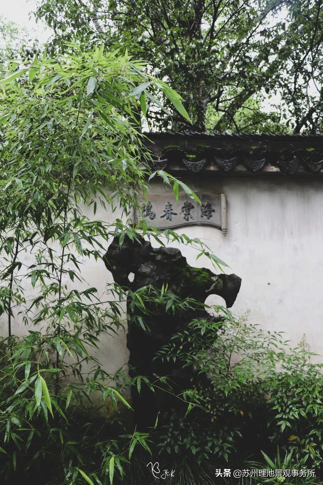 给我讲解一下拙政园的来历,拙政园最完整的讲解