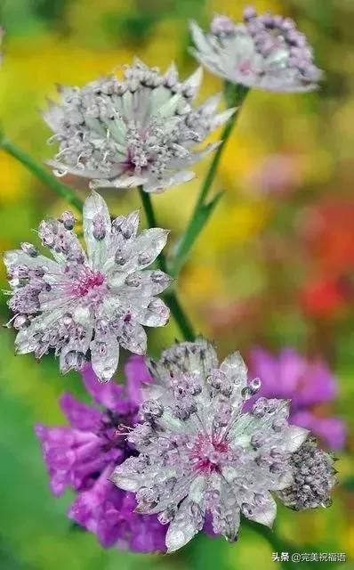 六一相册影集,六一照片专场