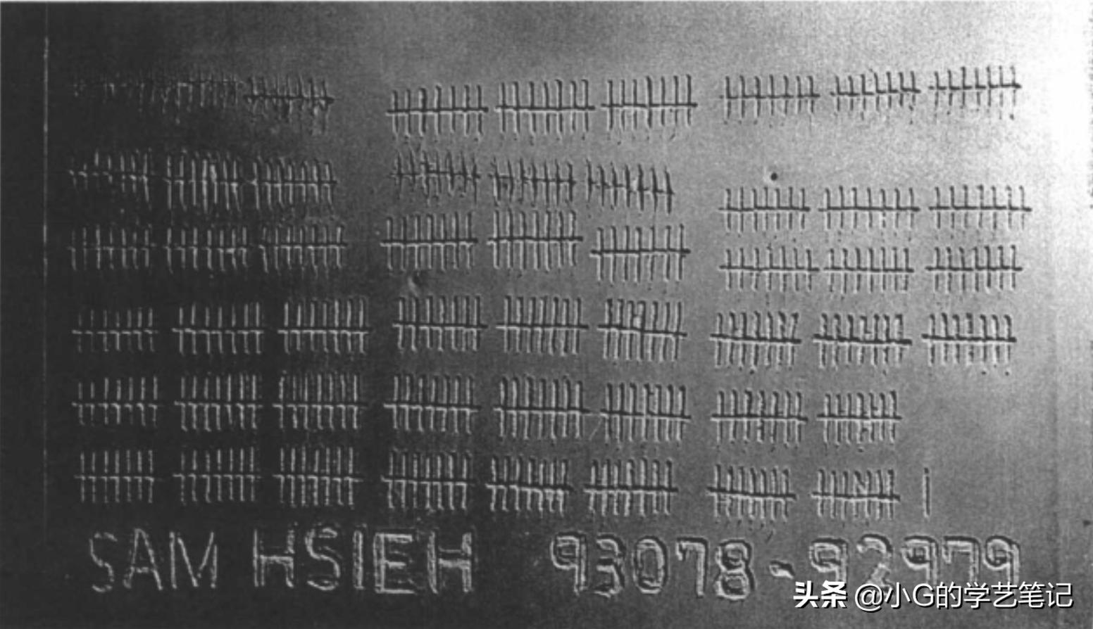 牢笼谢德庆,谢德庆牢笼照片