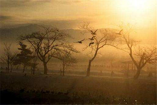 天净沙秋思马致远给人什么的感觉,马致远的天净沙秋思好在哪