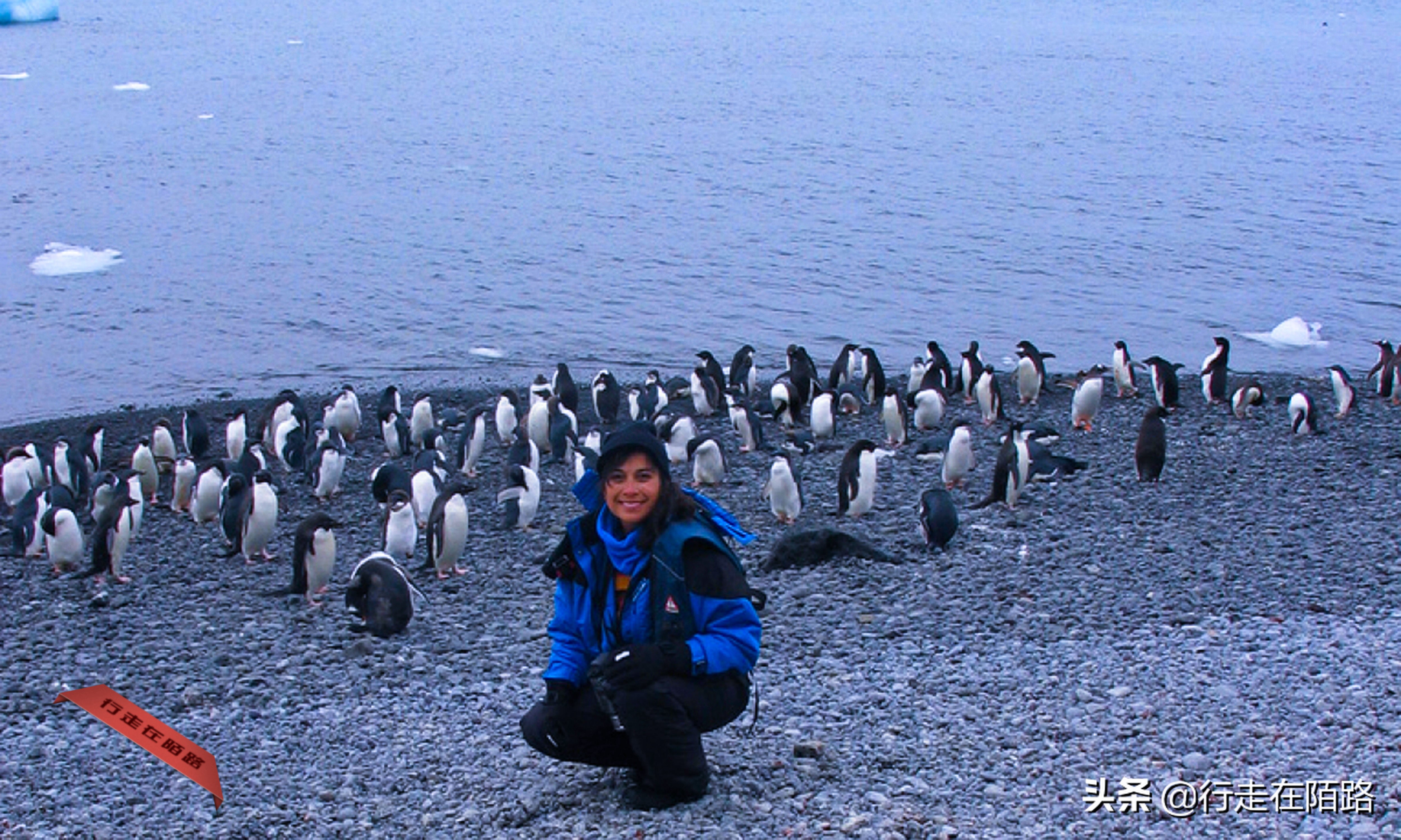 铲屎官招聘,邮局招聘吗
