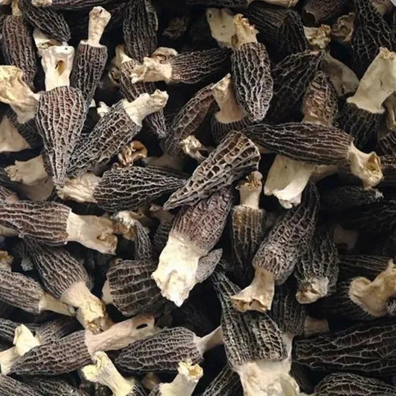 礼县秦皇故里景点,礼县秦文化特产