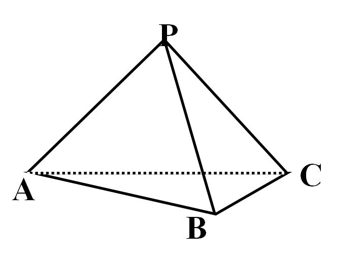 十大上古龙族,十大龙族是什么样