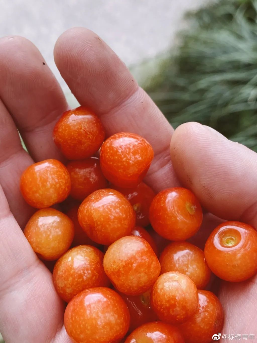 第1家国家4a级旅游区的大学博物馆,隐藏在各大校园里的有趣博物馆