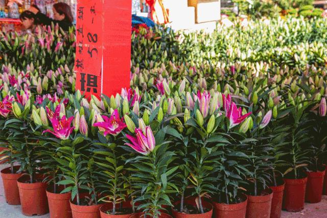 深圳花店有什么花,深圳龙华花店订花送花