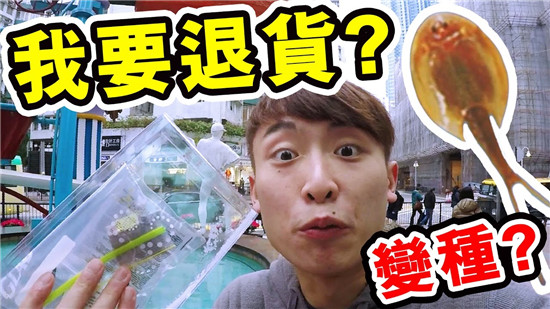 运费险有时效性吗,说说运费险这点事