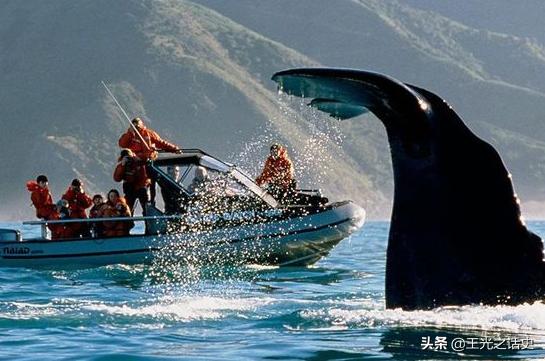 鏂拌タ鍏版槸鍐滀笟鍥藉悧,鍐滀笟鍥芥柊瑗垮叞