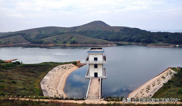 叶公好龙揭露了他们什么的坏思想,叶公好龙真相是什么