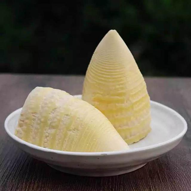 竹笋最著名的诗句,竹笋的诗句古诗带赏析