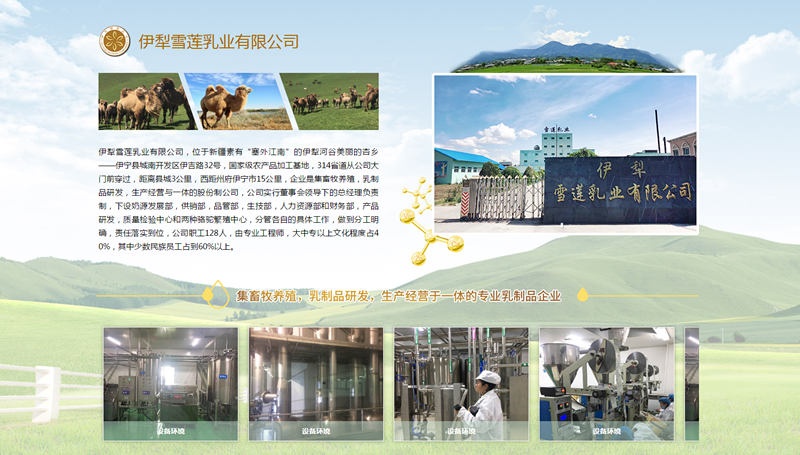 伊犁雪莲乳业有限公司是真的吗,伊犁雪莲乳业产品