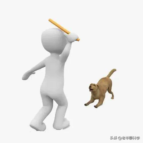 恶犬咬人被反杀集锦解气,恶犬咬人被一招制服