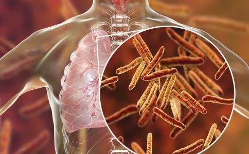 韩国加湿器事件最新,韩国加湿器事件中国有么