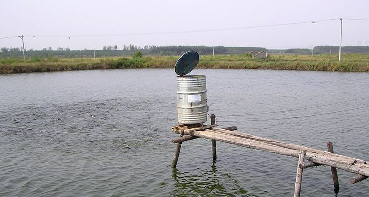 家鱼塘冬天怎样防止鱼冻死,冬季鱼塘养鱼最怕什么