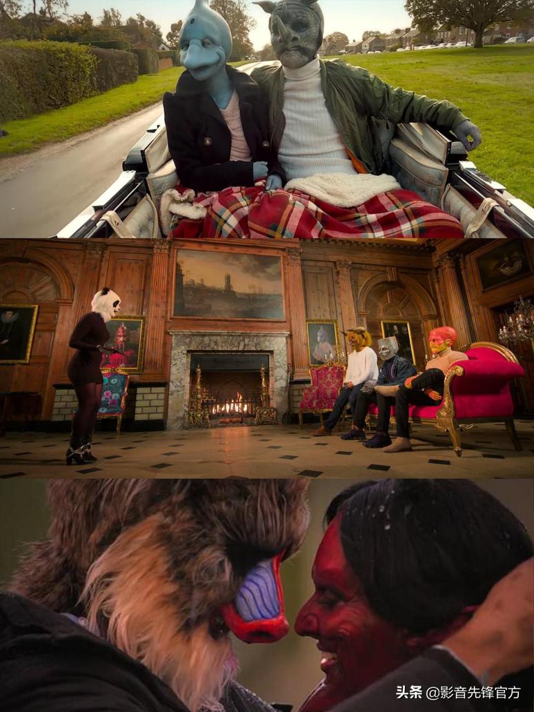 跨种族相亲,跨越种族相亲讲的什么