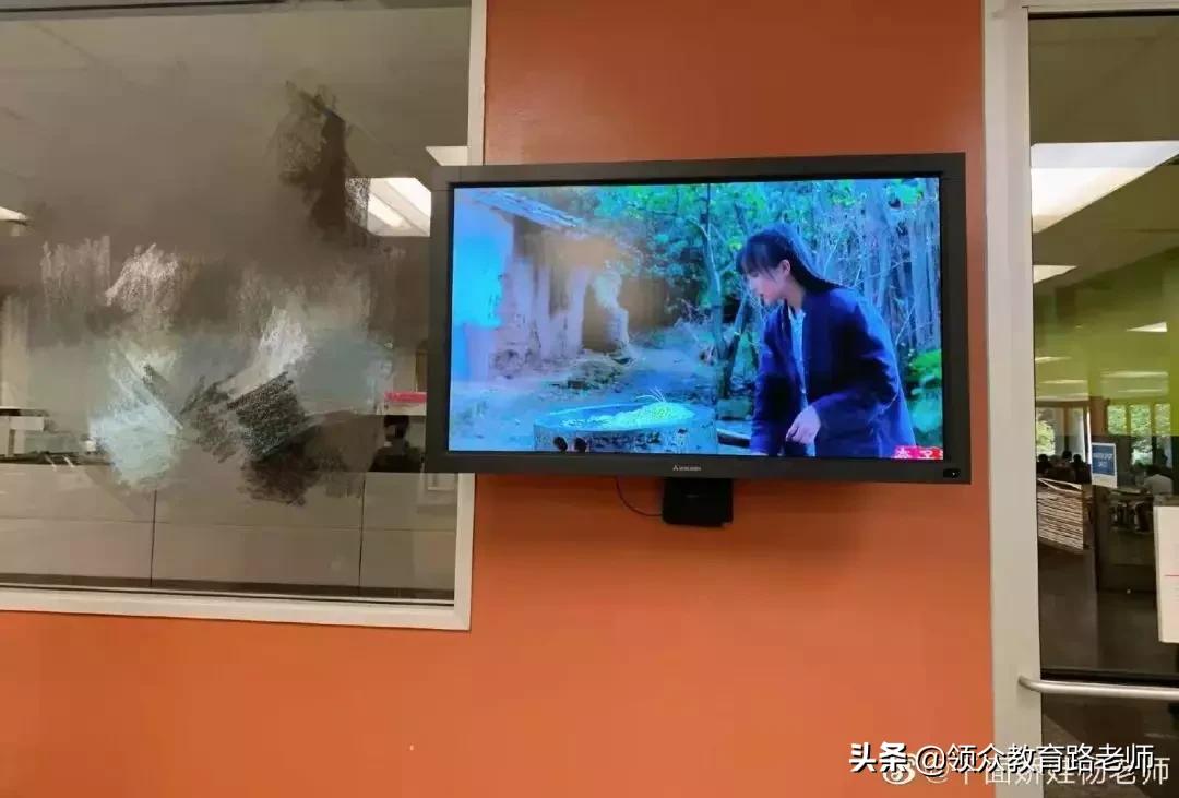 李子柒早期作品村姑女汉子形象,最美网红李子柒