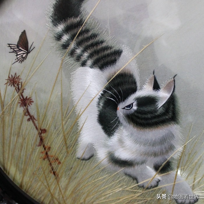 城市冷知识厦门,苏州人必须知道的苏州历史