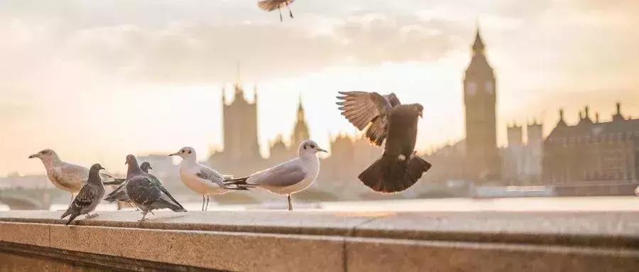 富人怎么投资海外房产,海外投资房产的前景如何