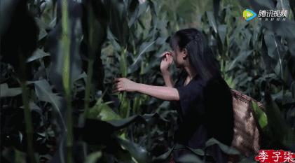 李子柒早期作品村姑女汉子形象,最美网红李子柒