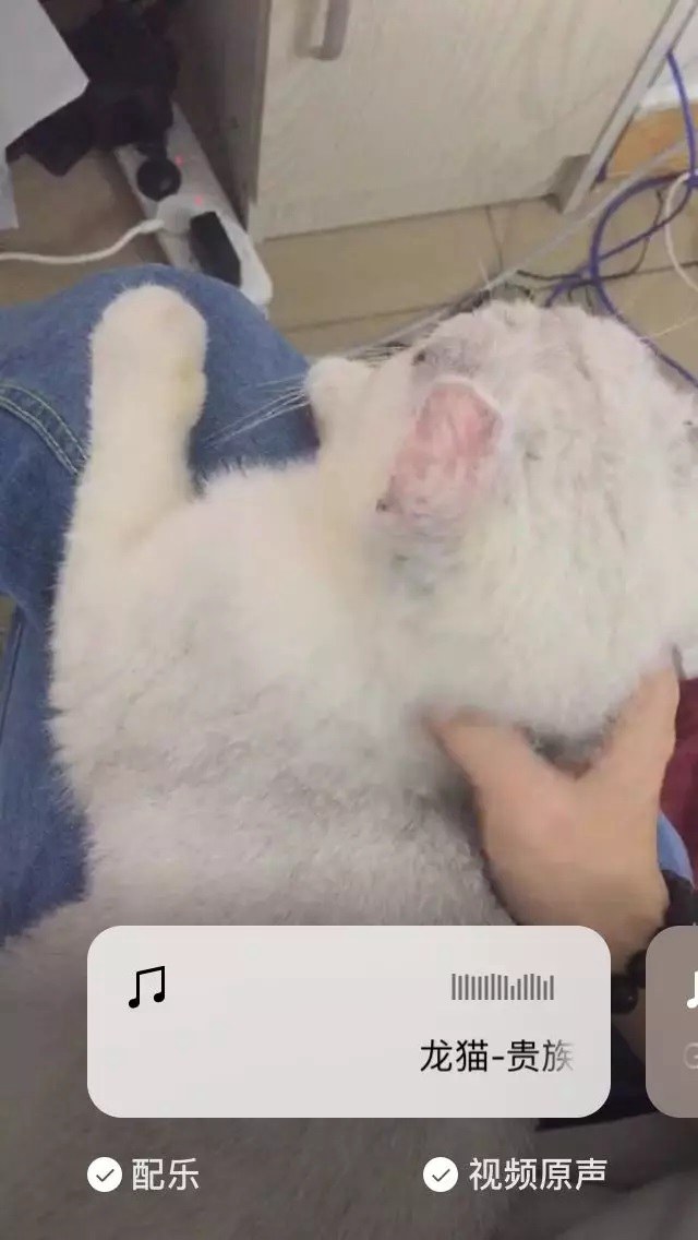 微信ios更新8.0.15最新版本功能,微信ios更新8.0.33最新版本功能