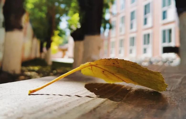 惊艳!这所香气弥漫的大学,坐落于北京,享有全国唯一名号!