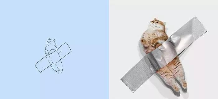 一波可爱动物简笔画,超火的简笔画动图