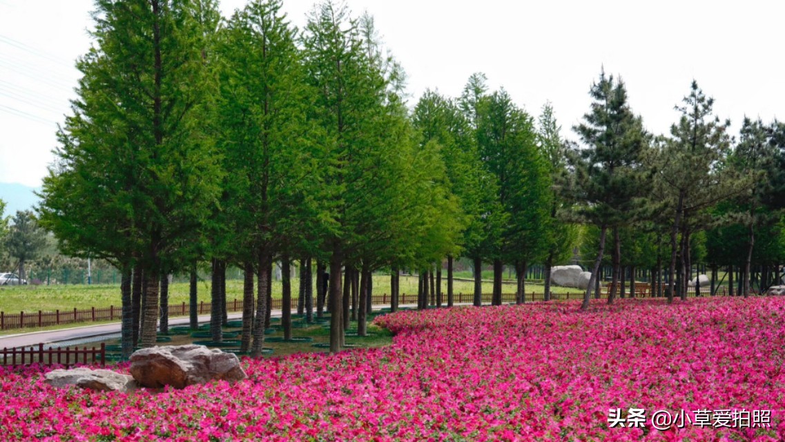 威海十一月羊亭公园,推荐一个好地方威海羊亭公园