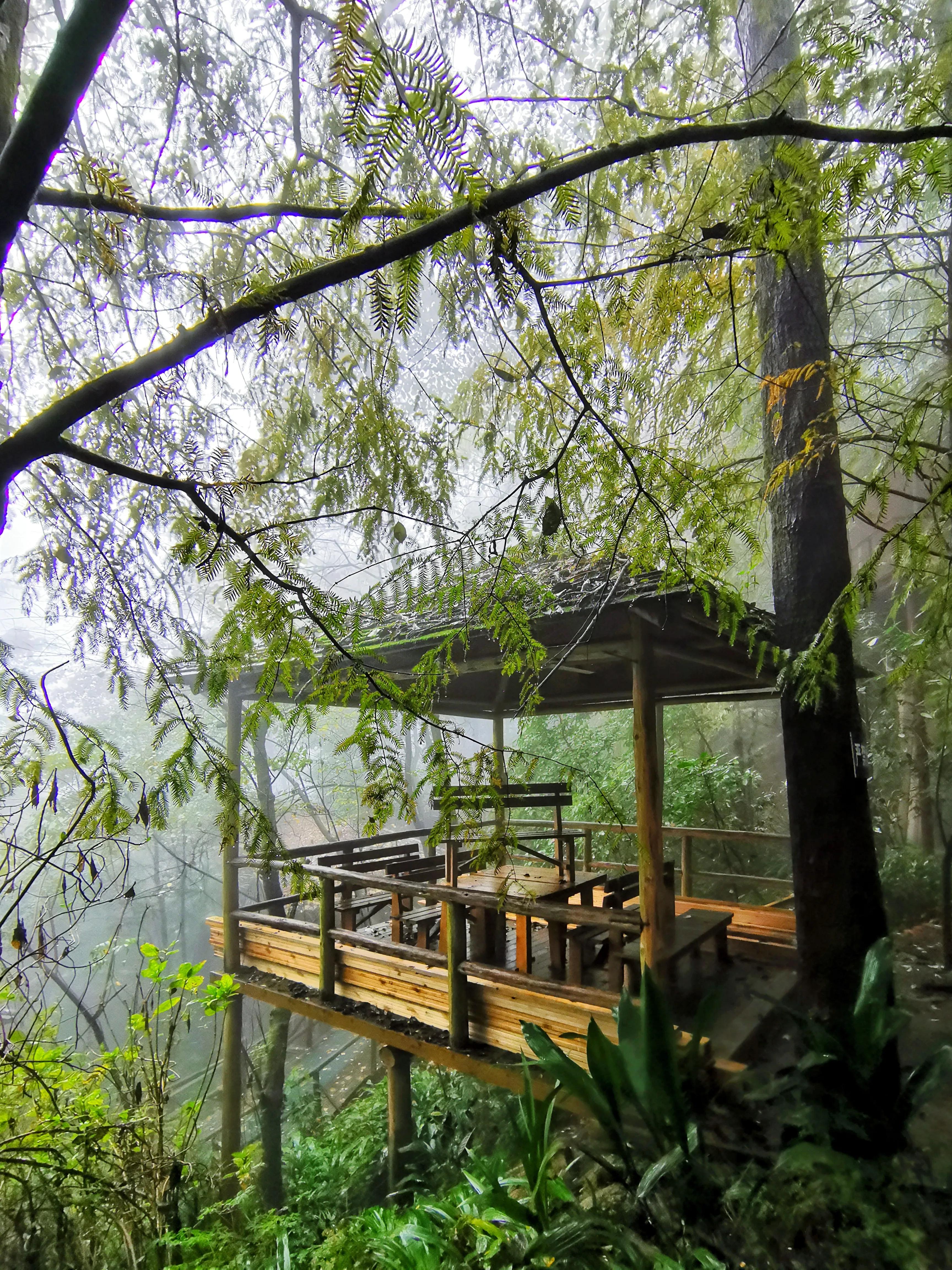 铜梁巴岳山森林木屋,巴岳山树屋