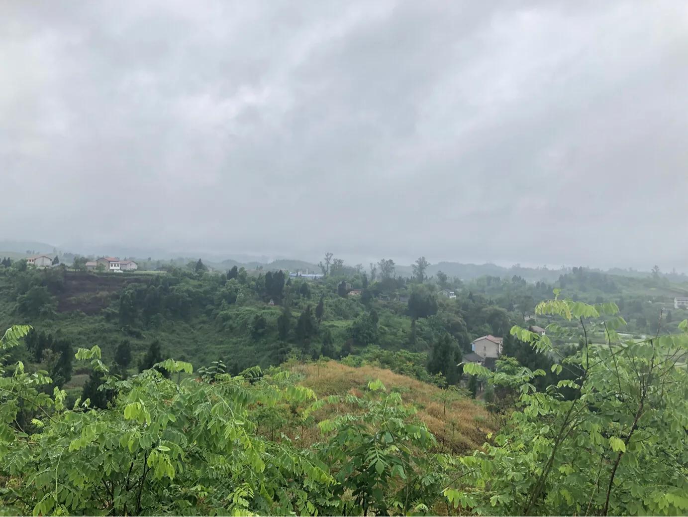 马家岩紫色花树,马家岩宜居