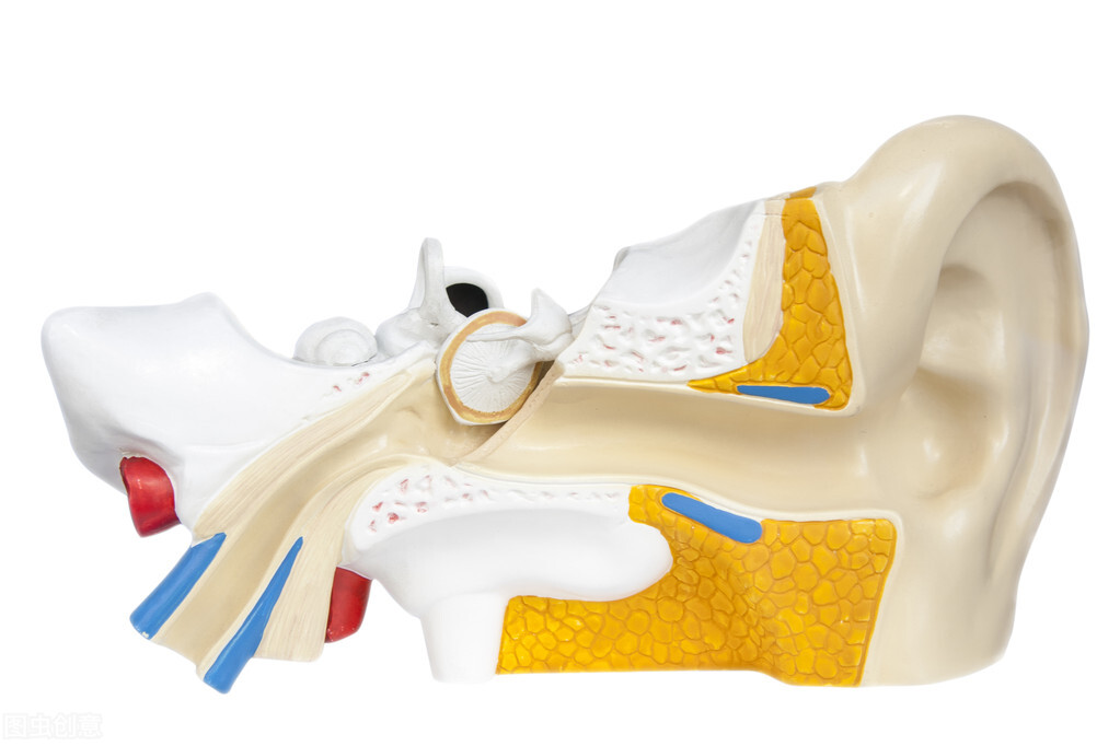 耳屎用显微镜放大是什么样,耳屎在显微镜下是不是活的