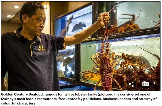 鎮夊凹閲戝攼,鎮夊凹閲戝攼閰掑