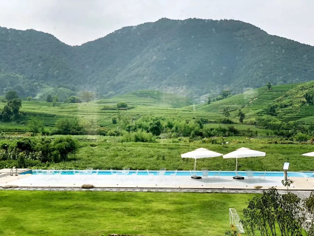 杭州原研斋茶园民宿,杭州茶园民宿推荐