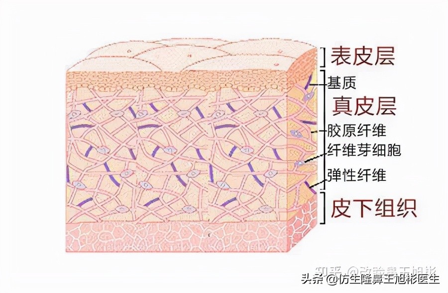 又想鼻子高又不想做鼻子怎么办,怎么让鼻尖变得又高又挺