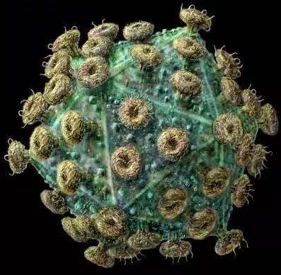 女性感染艾滋初期有什么症状,怎么知道目前感染艾滋病的阶段