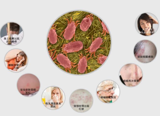 2岁宝宝扫地机器人,5000元内扫地机器人测评排行