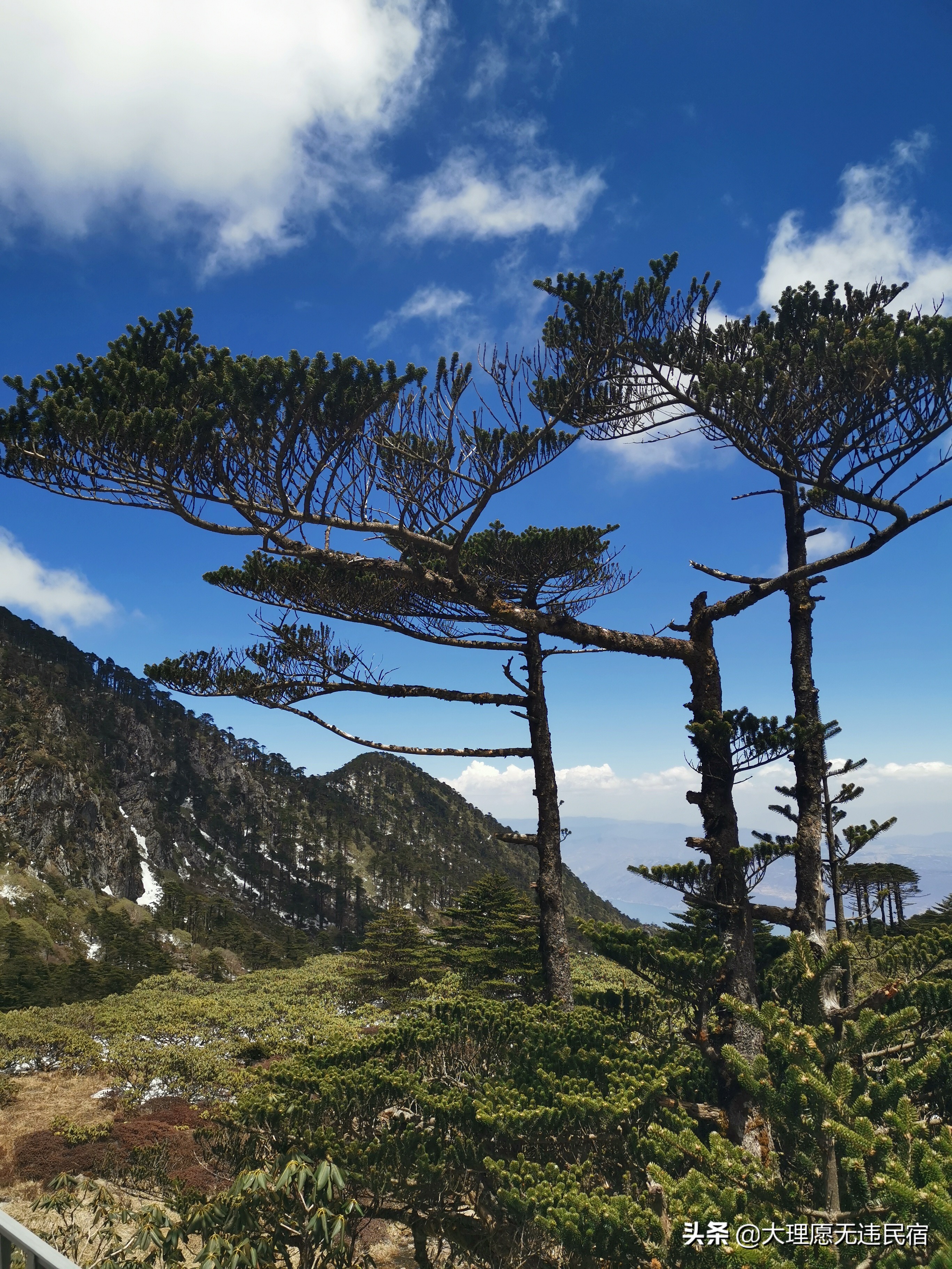 苍山一日游旅游攻略,苍山一日游自驾游