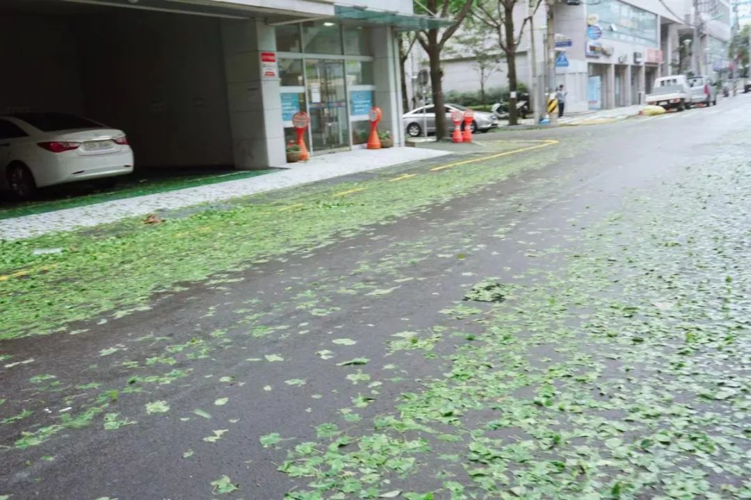 首尔釜山怎么玩？最全旅*行游**程攻略（7天）都在这里了