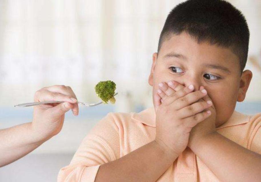 只吃肉不吃素的孩子,只吃肉不吃饭的宝宝