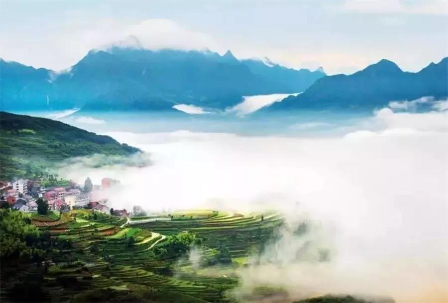 茗岙梯田航拍中国,茗岙梯田仙境