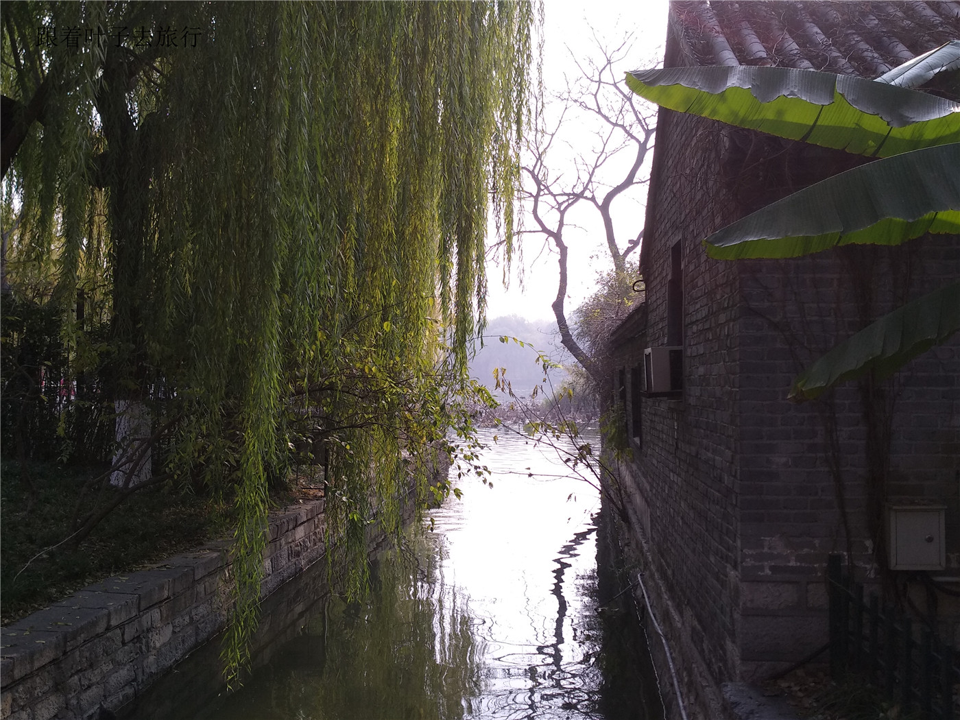 大明湖畔南丰祠雨荷厅前的荷花池,大明湖南丰祠的传说