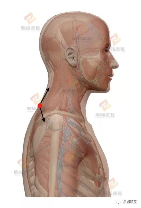 脖子难受怎么办呢,脖子不舒服该怎么办