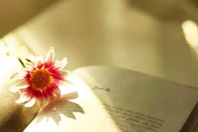 职场人士有学习方法吗,进去职场后继续学习