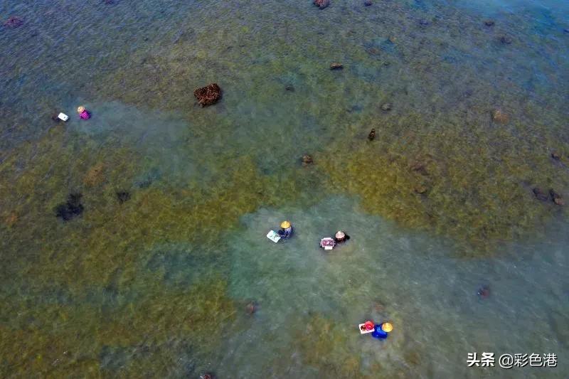 2022全国晚报摄影优秀图片评选,记者获奖照片触目惊心