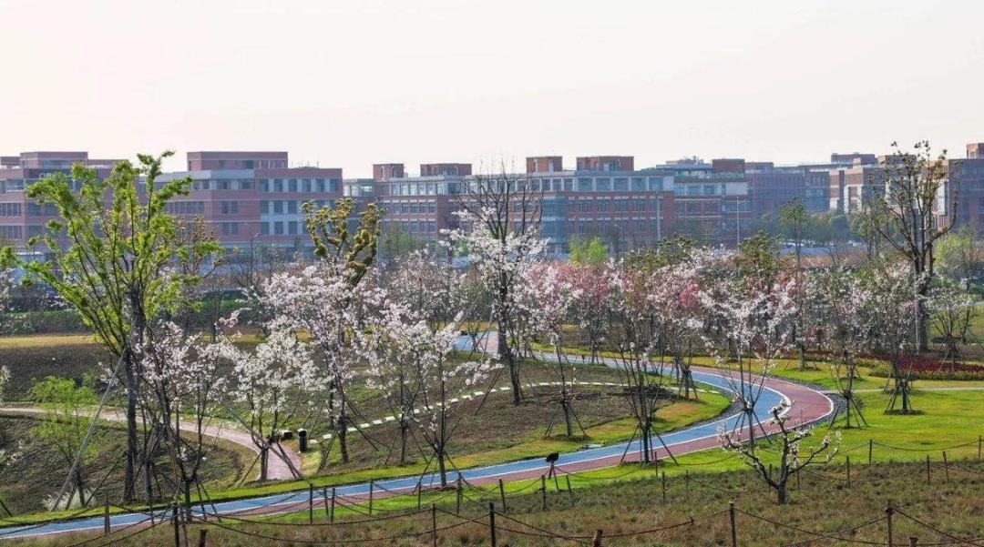 撩人无锡话,无锡锡城花路